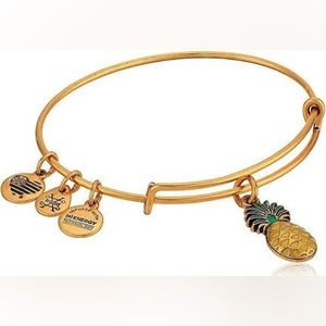 NWT Alex and Ani Color Infusion Pineapple Bracelet 🍍